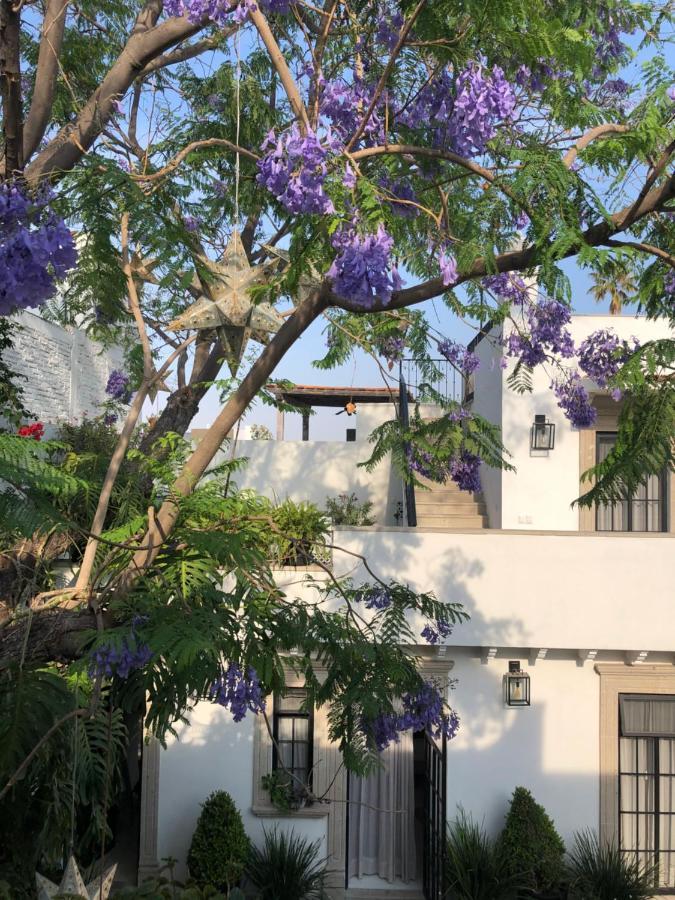 Casa Laní Luxury B&B San Miguel de Allende Exterior foto