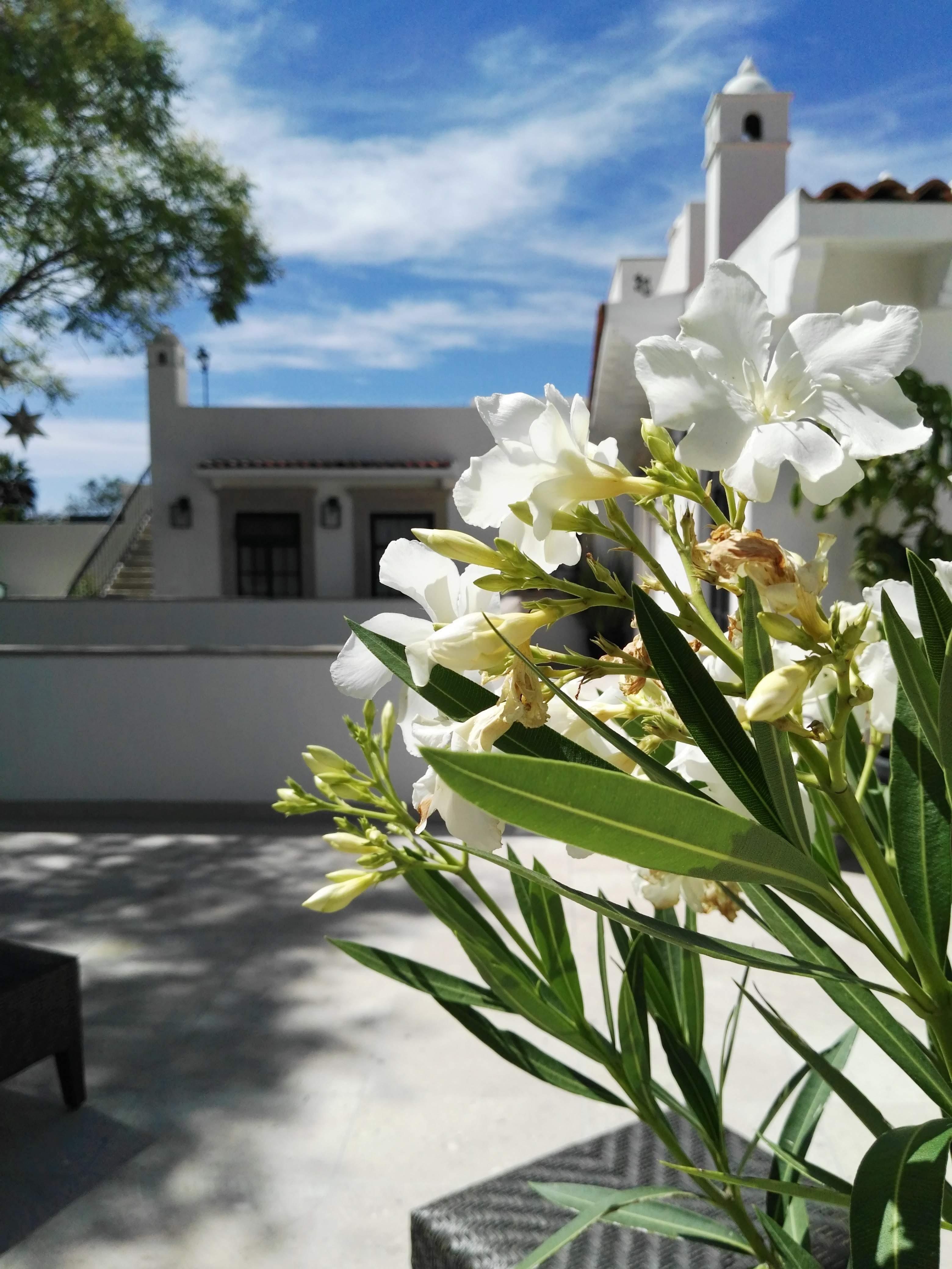 Casa Laní Luxury B&B San Miguel de Allende Exterior foto