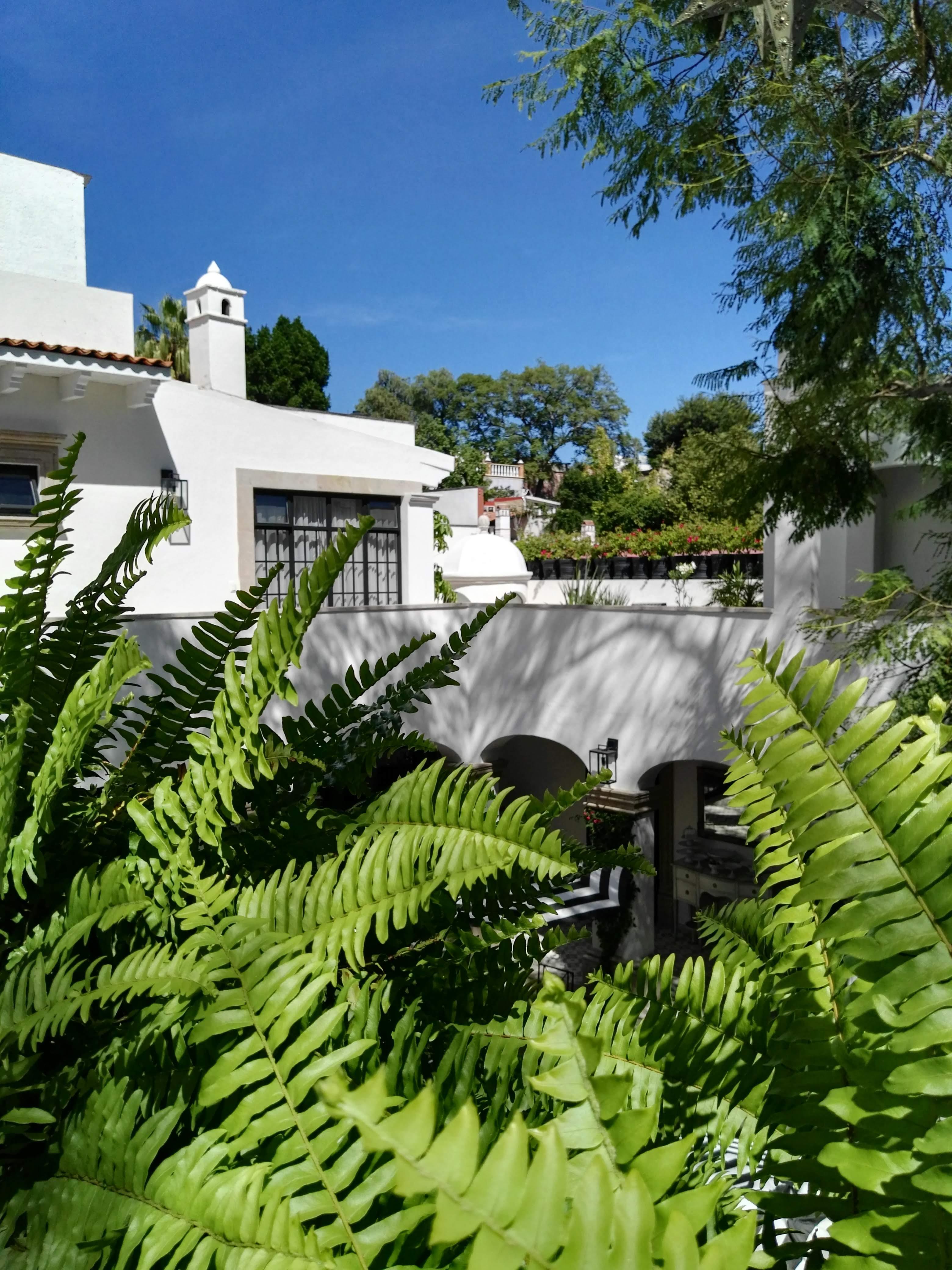 Casa Laní Luxury B&B San Miguel de Allende Exterior foto